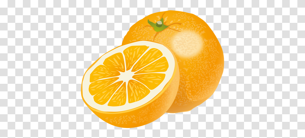 Realistic Orange & Svg Vector File Naranja, Citrus Fruit, Plant, Food, Sweets Transparent Png