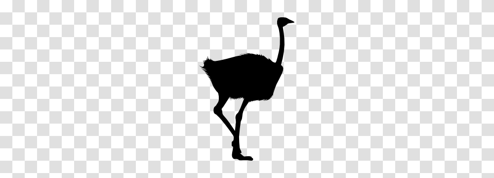 Realistic Ostrich Sticker, Bird, Animal, Silhouette, Dog Transparent Png