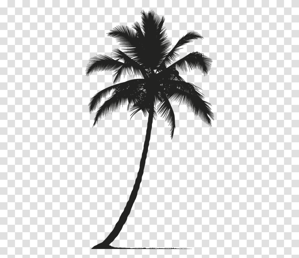 Realistic Palm Tree Silhouette, Plant, Outdoors, Nature, Night Transparent Png