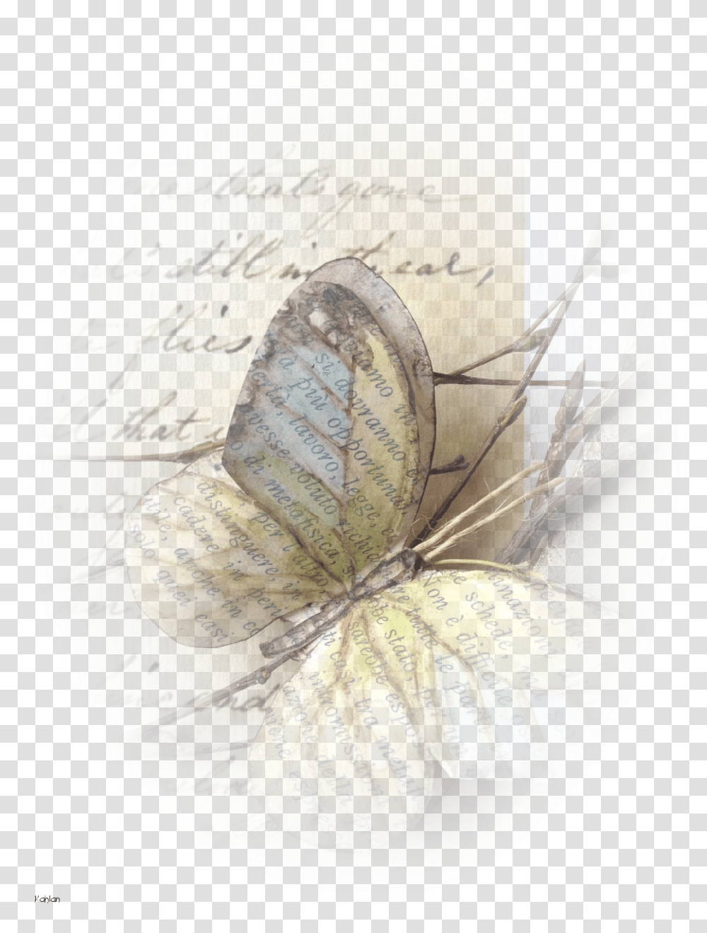Realistic Paper Butterflies, Snake, Reptile, Animal, Leaf Transparent Png