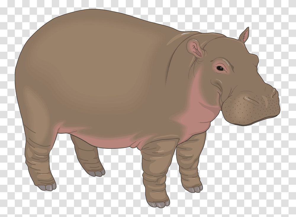 Realistic Sky Cliparts, Animal, Mammal, Wildlife, Hippo Transparent Png