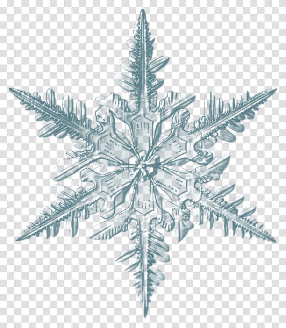 Realistic Snowflake, Bird, Animal, Pattern, Ornament Transparent Png