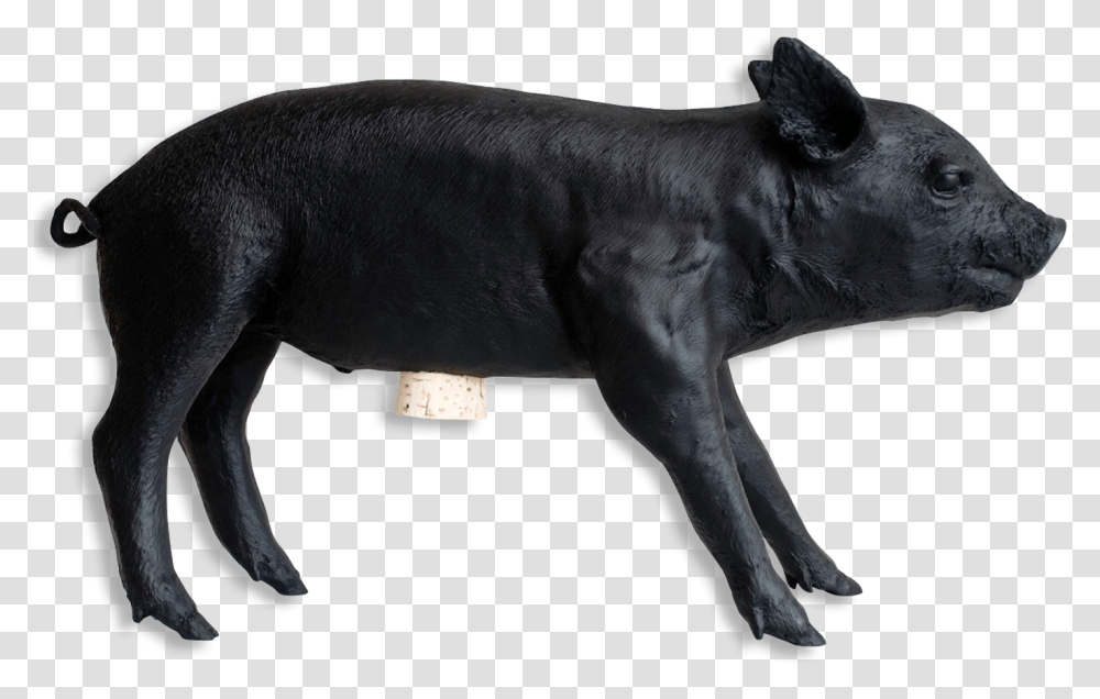 Reality Bank In The Form Of A Pig By Areaware Matte, Animal, Mammal, Wildlife, Dog Transparent Png