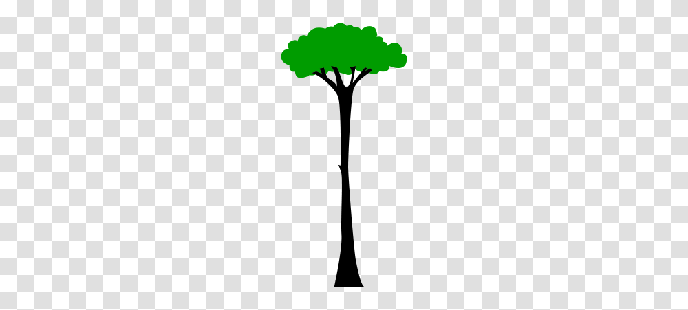 Really Tall Tree, Gray, World Of Warcraft Transparent Png