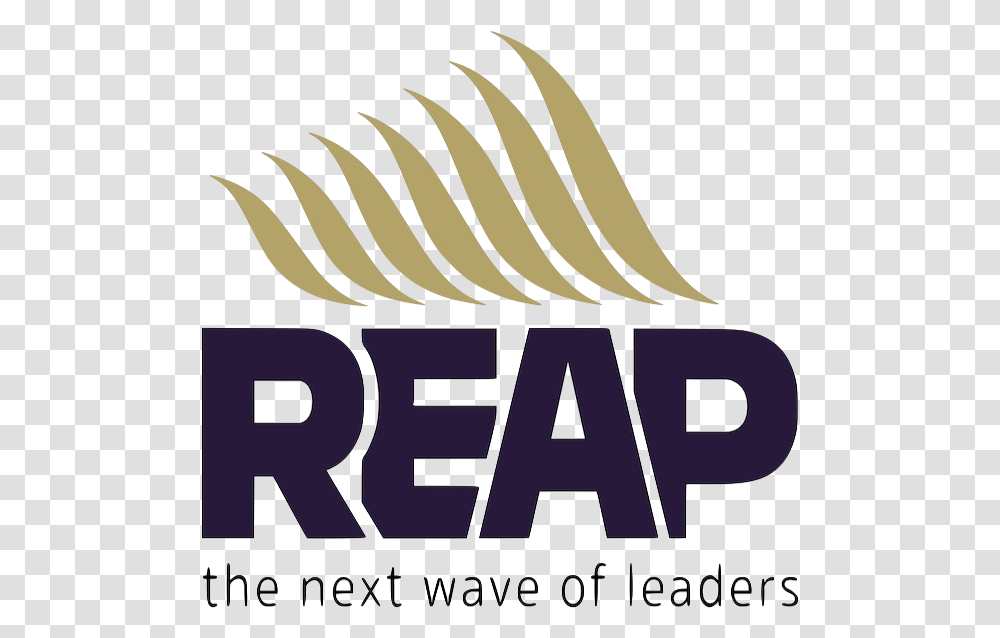 Reap Inc Next, Cutlery, Outdoors, Nature, Sea Transparent Png