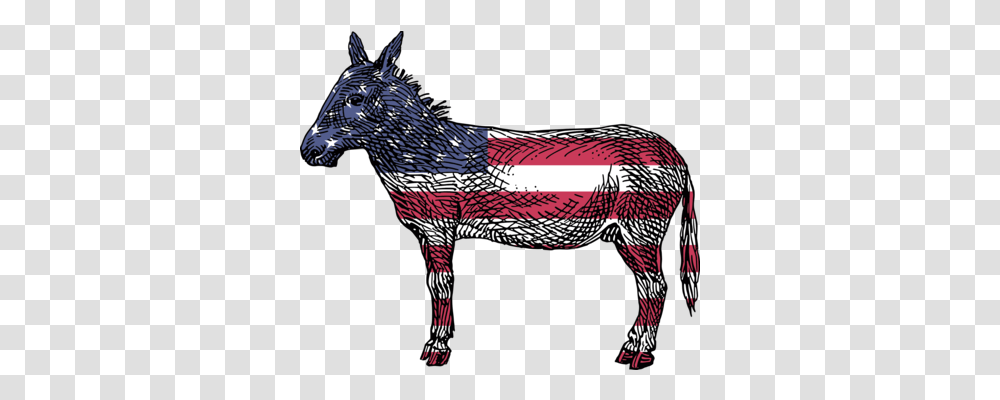 Reasons To Vote For Democrats Photo Background Background Democrat, Bird, Animal, Horse, Mammal Transparent Png