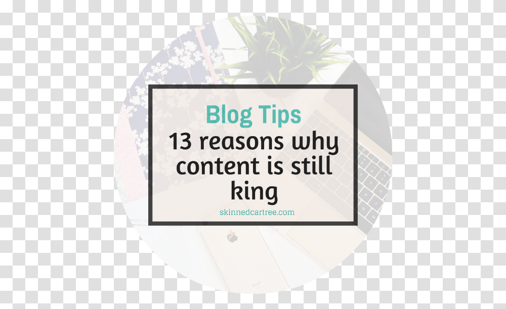 Reasons Why Content Is Still The Circle, Label, Text, Paper, Plant Transparent Png