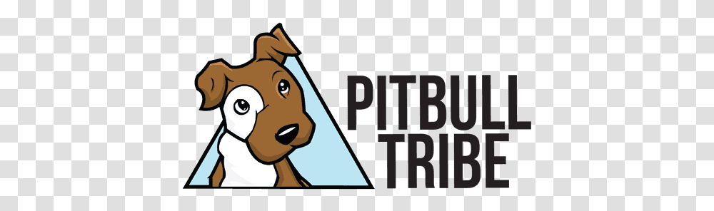 Reasons Why Pitbulls Are So Popular Fitbit Charge 4 Unboxing, Mammal, Animal, Pet, Poster Transparent Png