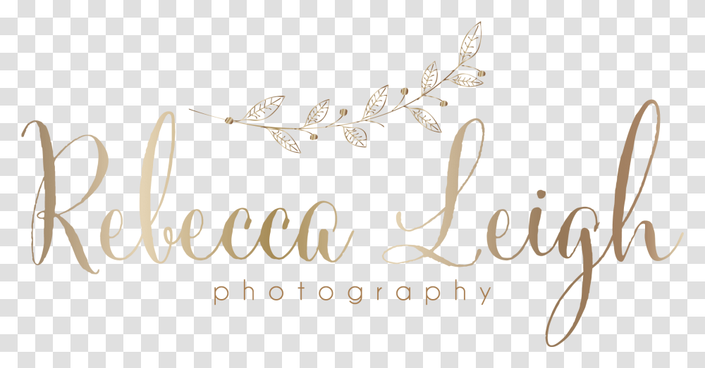 Rebecca Leigh Photography Calligraphy, Handwriting, Label, Alphabet Transparent Png