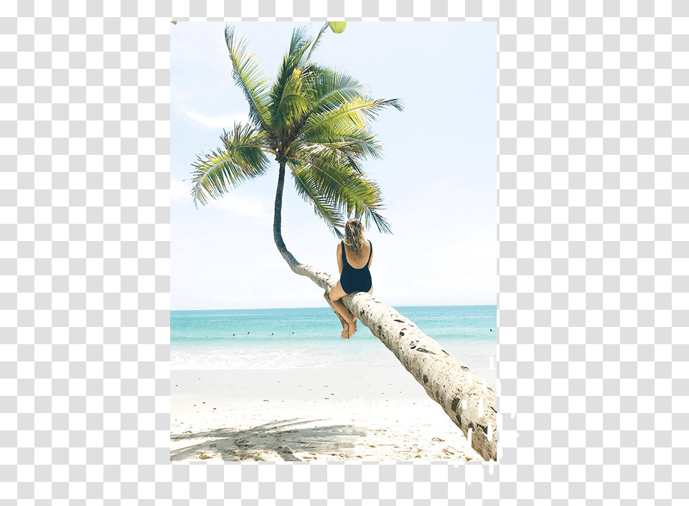 Rebekah Viola About Img3 Vacation, Palm Tree, Plant, Person, Summer Transparent Png