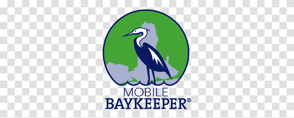 Recap Of Our First Apple Snail Roundup The Year - Mobile Mobile Baykeeper Logo, Waterfowl, Bird, Animal, Poster Transparent Png