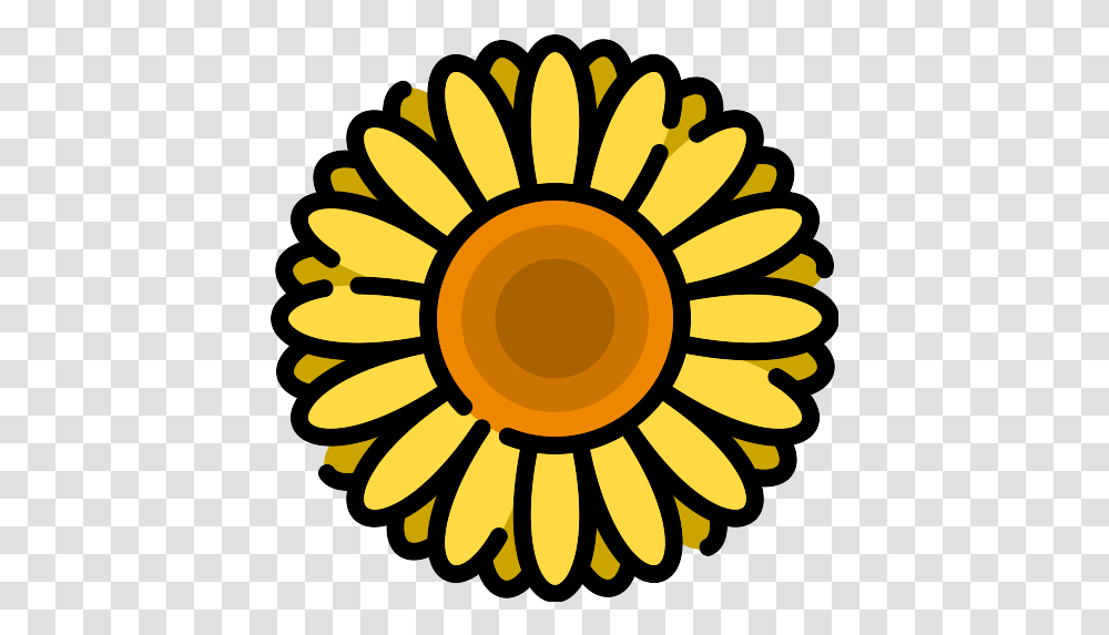 Recent Sunflower Icons And Graphics Repo Free Daisy Flower Drawing For Kids, Plant, Blossom, Daisies, Dynamite Transparent Png