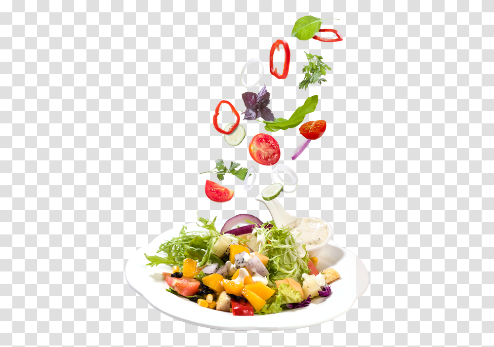 Recipe Vector Salad Food Background Images, Meal, Plant, Dish, Lunch Transparent Png