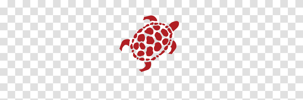 Recipes, Sea Life, Animal, Tortoise, Turtle Transparent Png