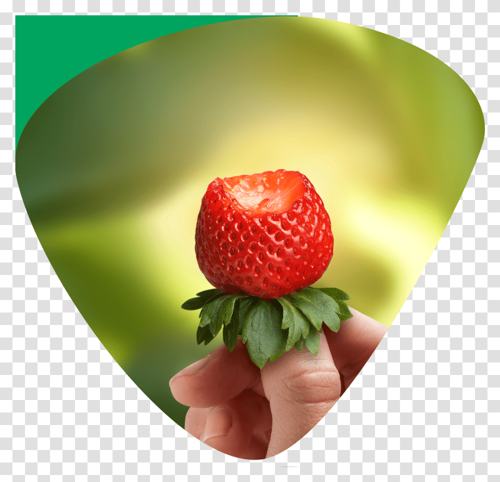 Recipes Strawberry, Fruit, Plant, Food, Raspberry Transparent Png