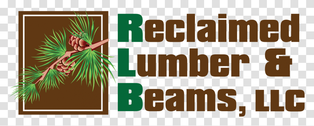 Reclaimed Lumber Amp Beams Logo Illustration, Plant, Vegetation, Tree Transparent Png