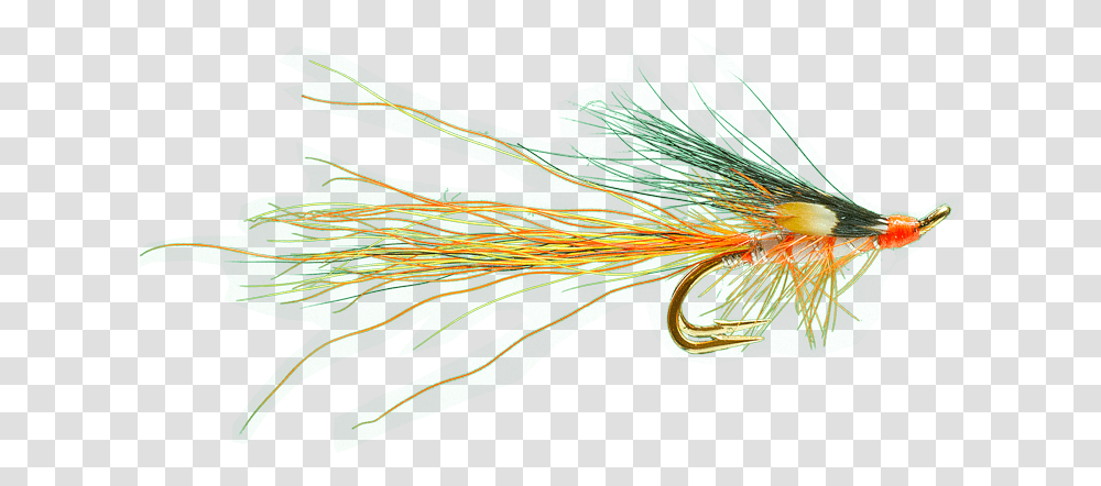 Recommended Salmon Flies For The Wye Dyed, Bird, Animal, Plant, Fishing Lure Transparent Png