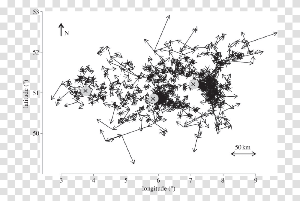 Reconstructed Btv 8 Epidemic In North Europe The Arrows Diagram, Monitor, Graphics, Art, Floral Design Transparent Png