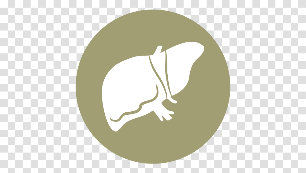 Recovery Hippopotamus, Plant, Hand, Grain, Produce Transparent Png