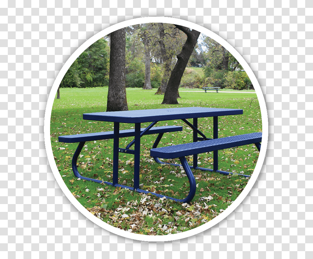 Rectangle Picnic Table Grass, Furniture, Plant, Tabletop, Bench Transparent Png