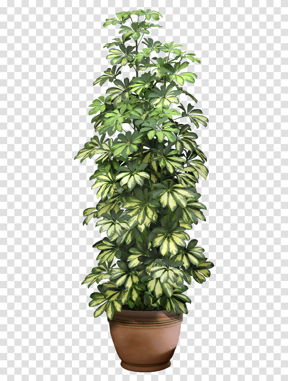 Recursos Chele Guada Format Flower Pot, Leaf, Plant, Pineapple, Fruit Transparent Png
