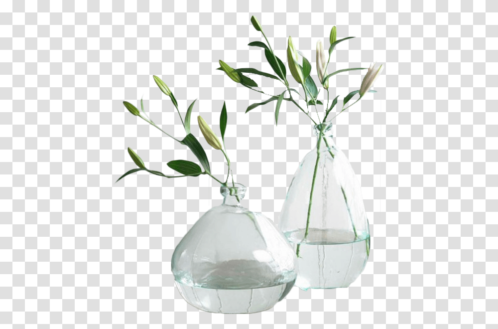 Recycled Glass Vase, Plant, Potted Plant, Jar, Pottery Transparent Png