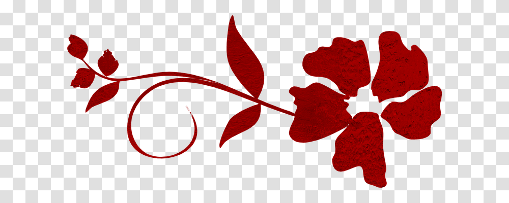 Red Emotion, Plant, Leaf, Petal Transparent Png