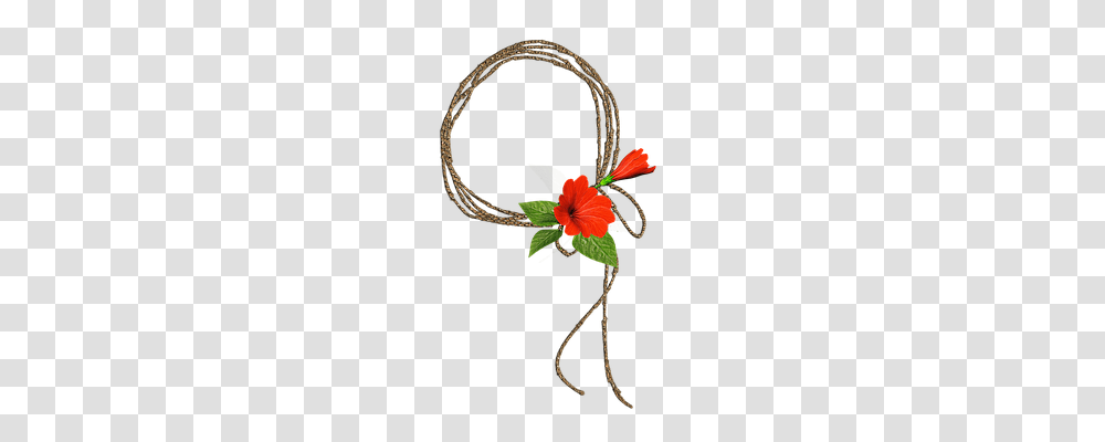 Red Nature, Plant, Hibiscus, Flower Transparent Png