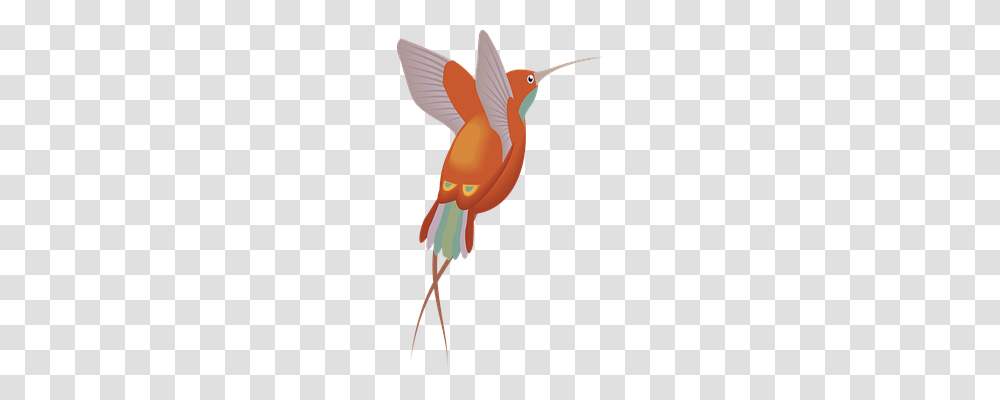 Red Animals, Bird, Cardinal, Canary Transparent Png