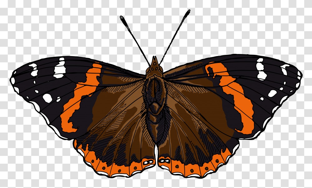 Red Admiral Butterfly Illustrated One Illustration Red Admiral Butterfly Clipart, Insect, Invertebrate, Animal, Monarch Transparent Png