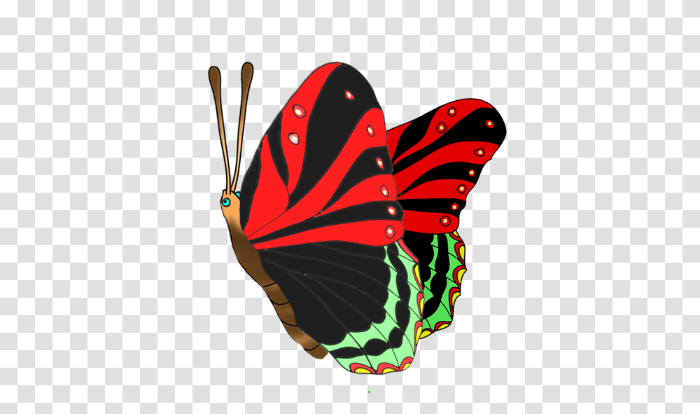 Red And Black Butterfly Red And Black Butterfly, Insect, Invertebrate, Animal Transparent Png