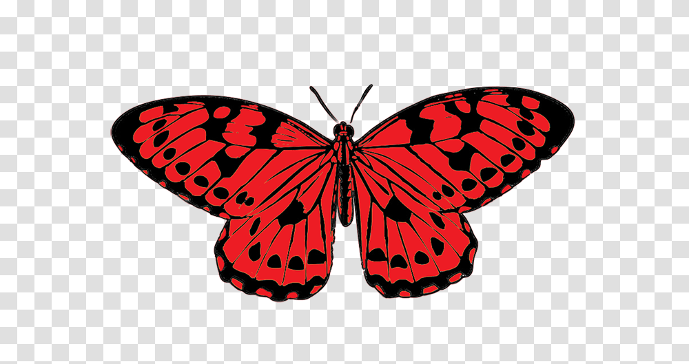 Red And Black Butterfly Red And Black Butterfly, Insect, Invertebrate, Animal, Monarch Transparent Png