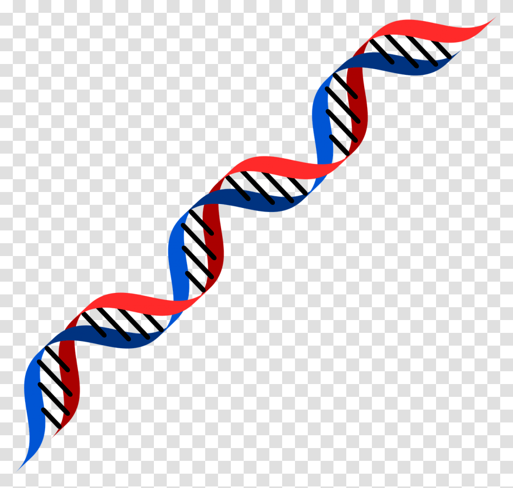 Red And Blue Dna, Nature, Outdoors, Strap, Kite Transparent Png