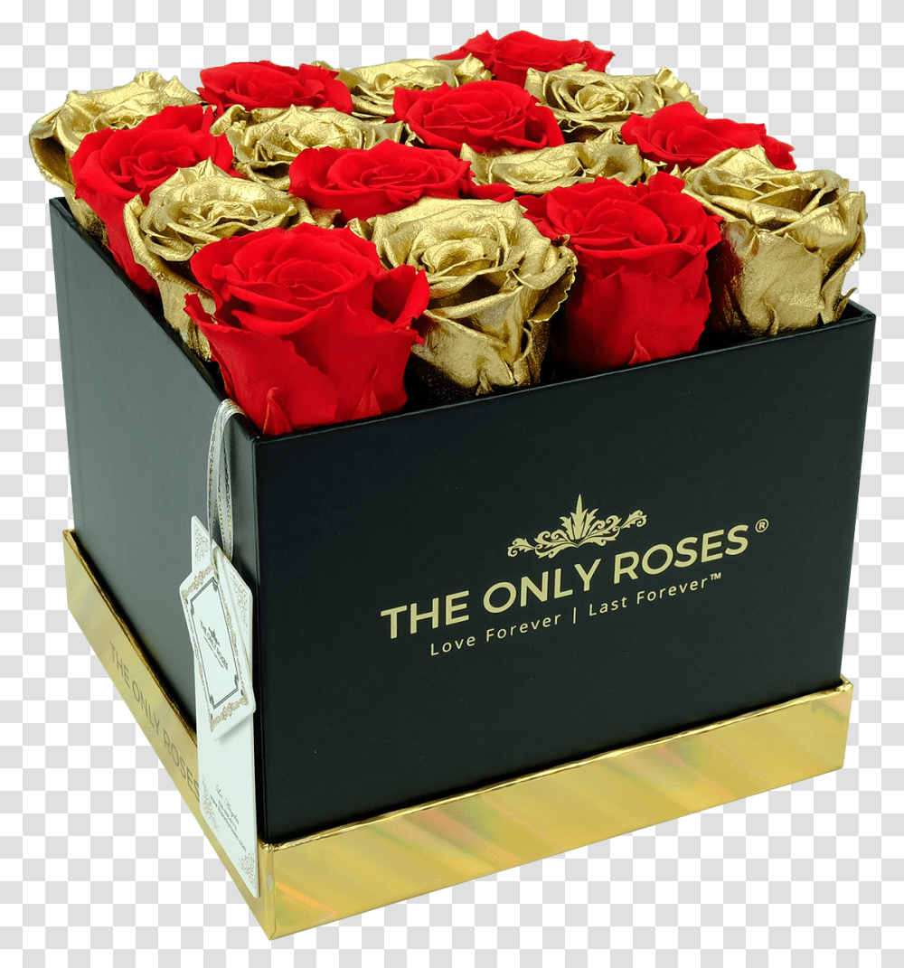 Red And Gold Preserved Roses Garden Roses, Plant, Flower, Blossom, Flower Bouquet Transparent Png