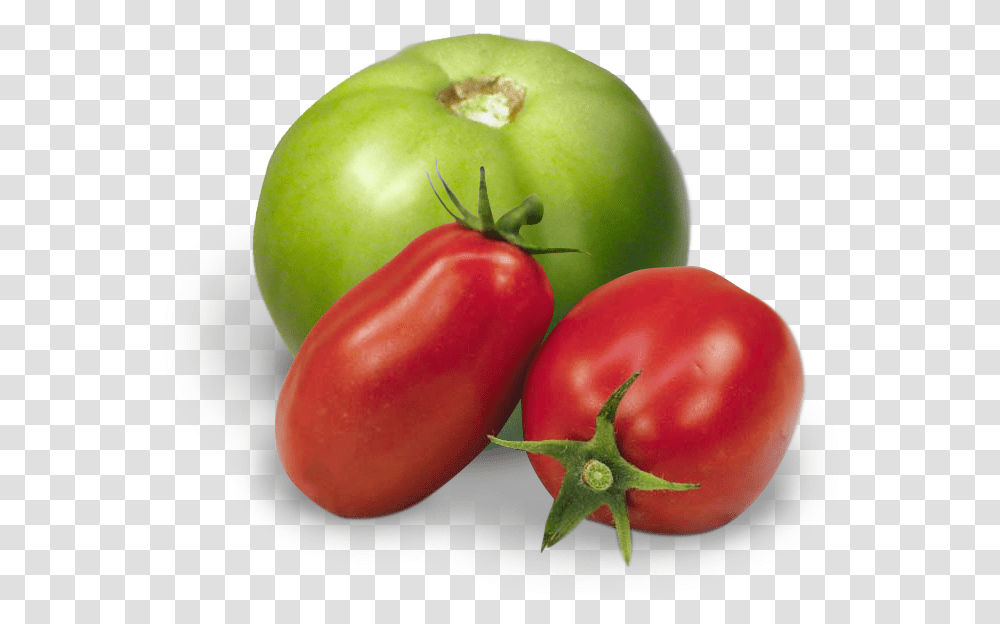 Red And Green Tomatoes, Plant, Apple, Fruit, Food Transparent Png