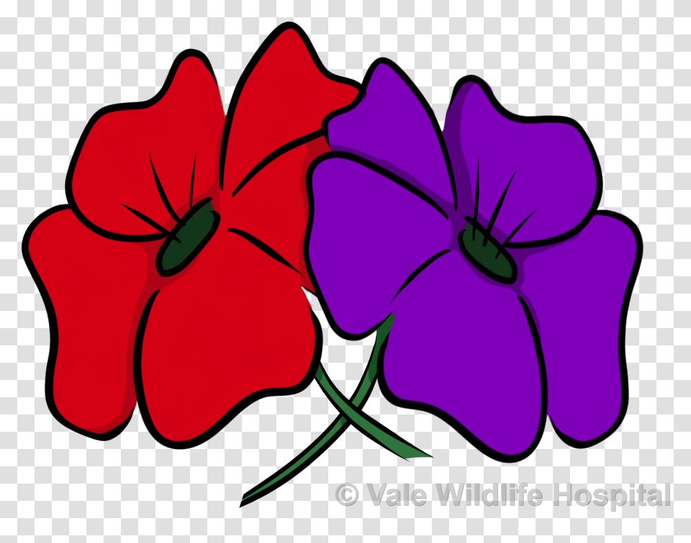 Red And Purple Poppy, Plant, Petal, Flower, Blossom Transparent Png