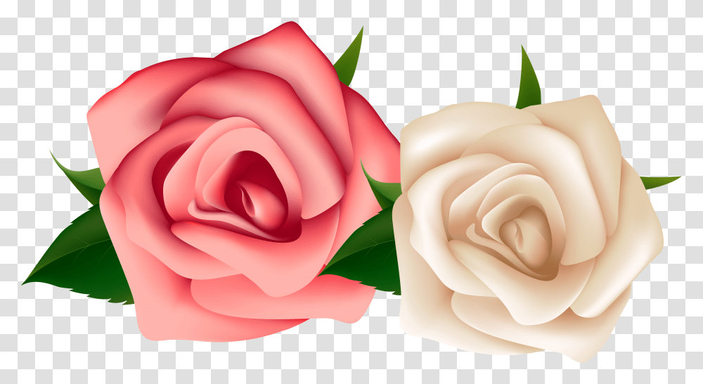 Red And White Rose Clipart Download Red And White Rose Clipart Transparent Png