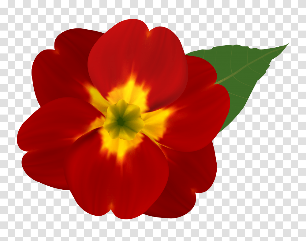 Red And Yellow Flower Clipart, Petal, Plant, Blossom, Rose Transparent Png