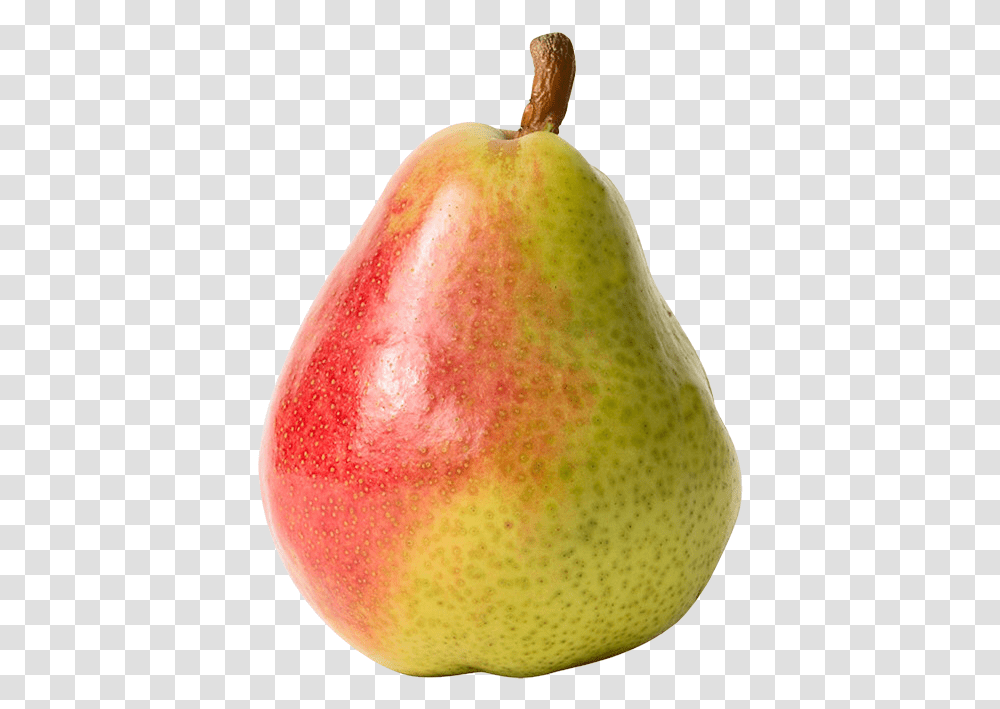 Red And Yellow Pear Clipart Pear, Plant, Fruit, Food Transparent Png