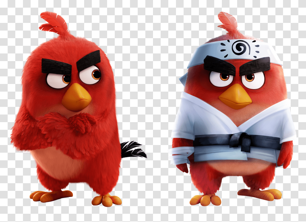Red Angry Birds Wiki Fandom Chuck Red Angry Birds 2 Transparent Png