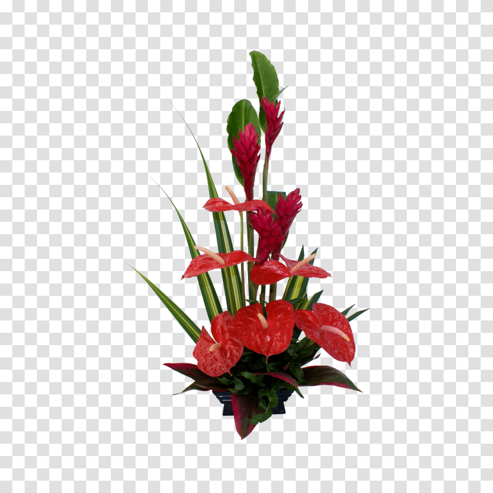 Red Anthurium And Ginger Hawaiian Flowers Hawaiian Flowers, Plant, Blossom, Flower Arrangement, Flower Bouquet Transparent Png
