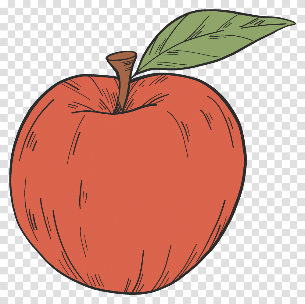 Red Apple Clipart Apple, Plant, Fruit, Food, Peach Transparent Png