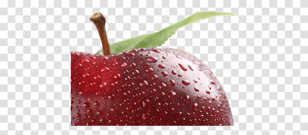 Red Apple Financial Business Services Red Apple, Plant, Droplet, Fruit, Food Transparent Png