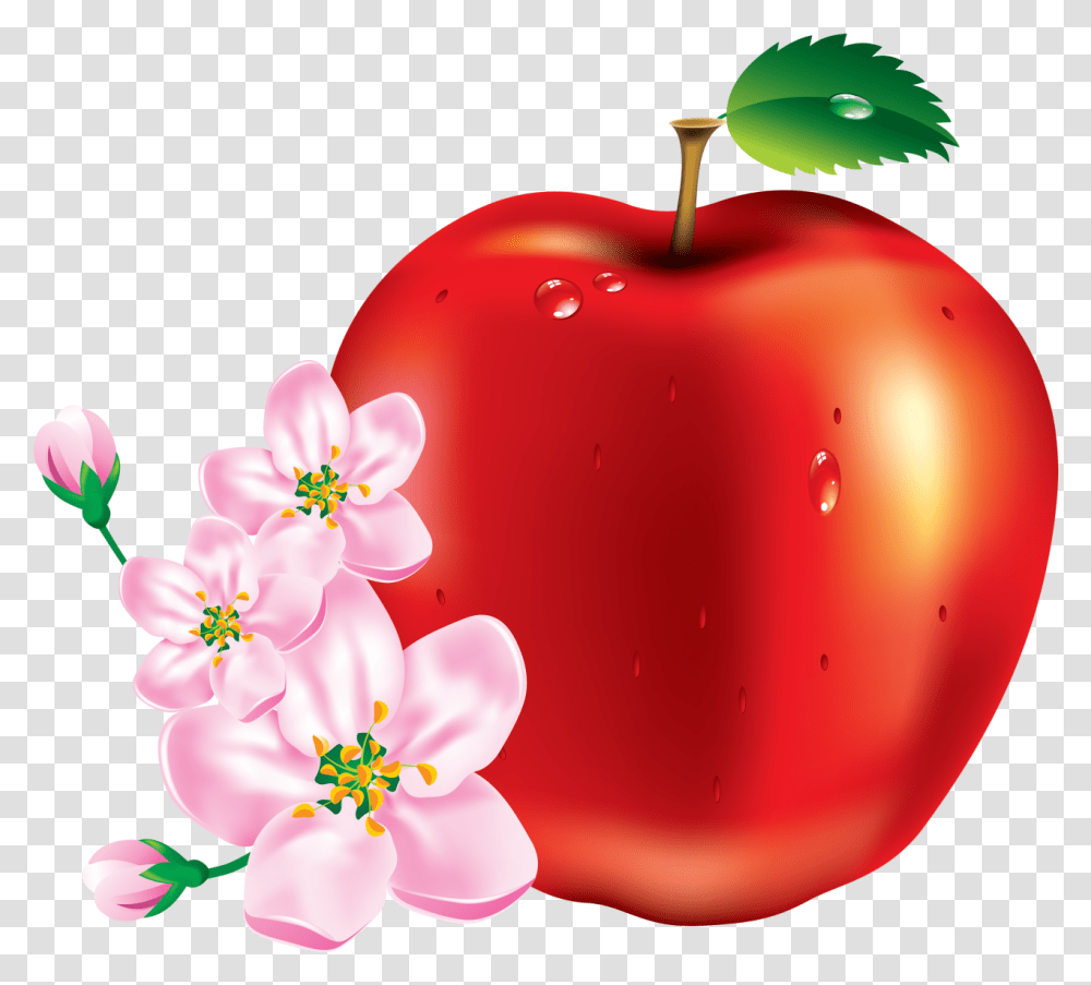 Red Apple Image Fruits Vector, Plant, Food, Balloon, Flower Transparent Png