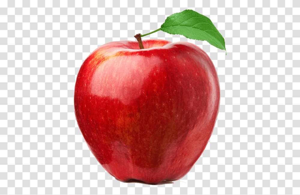 Red Apple Picture Apple Fruit, Plant, Food Transparent Png