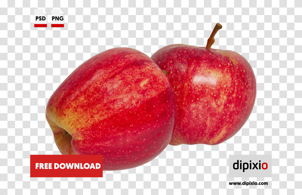 Red Apples Free Psd Ui Download Yellow Daffodil, Fruit, Plant, Food, Produce Transparent Png