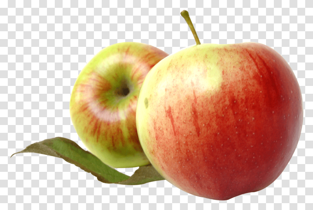 Red Apples Fruit Images 40 Free Free Apple, Plant, Food Transparent Png