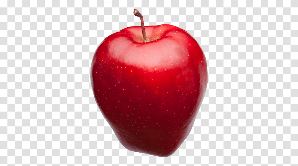 Red Apples Picture 390626 Red Apple, Fruit, Plant, Food, Vegetable Transparent Png