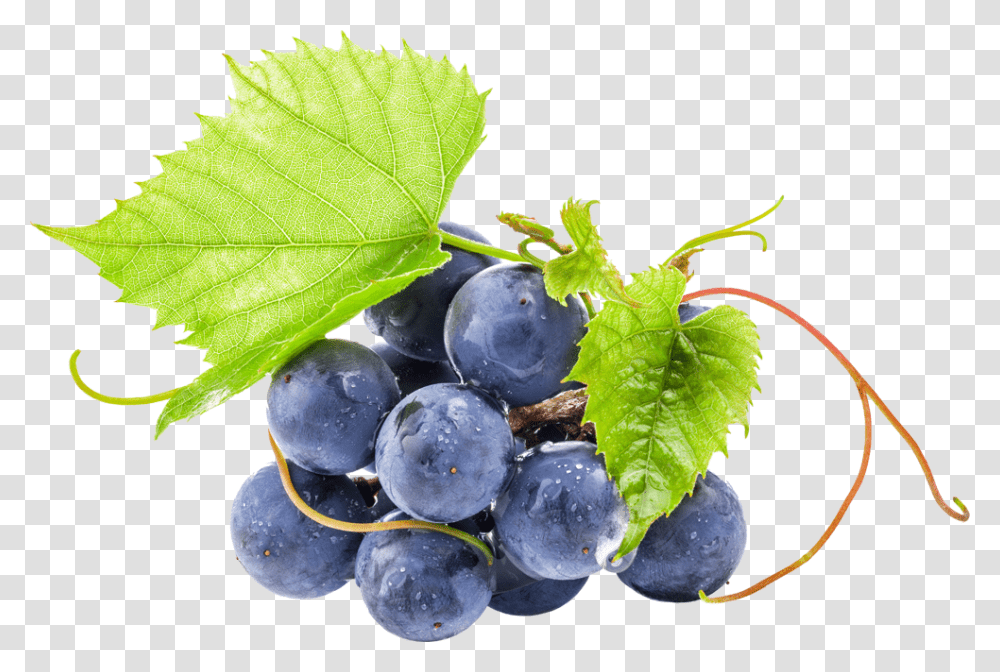 Red Astaire Sel De Nicotine, Plant, Blueberry, Fruit, Food Transparent Png
