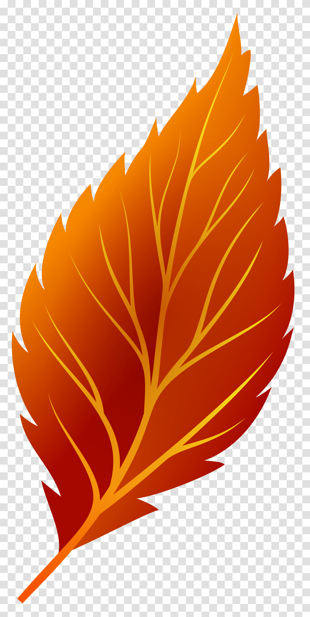 Red Autumn Leaf Clip Art Autumn Leaf Clipart, Plant, Tree, Graphics Transparent Png
